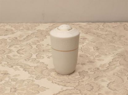 Picture of Salt Shaker