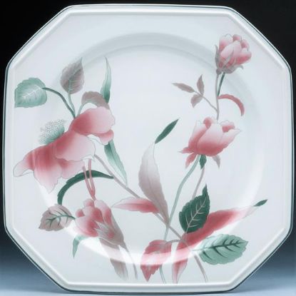 Picture of Dinner Plates