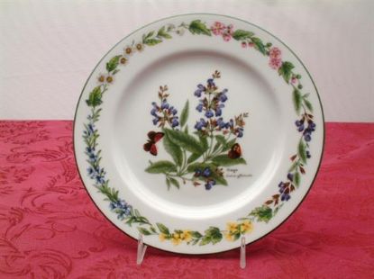 Picture of Salad Plates