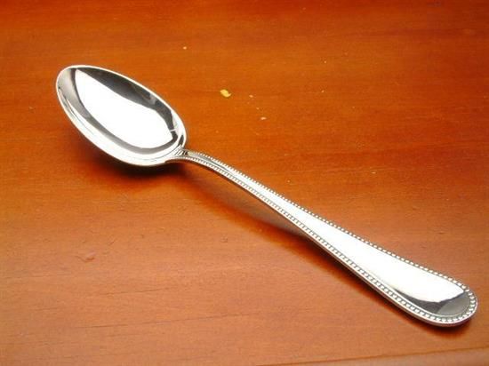 Picture of New Place Spoon