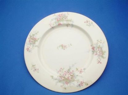 Picture of Dinner Plates