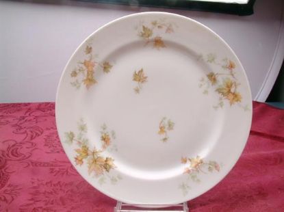 Picture of Dinner Plates