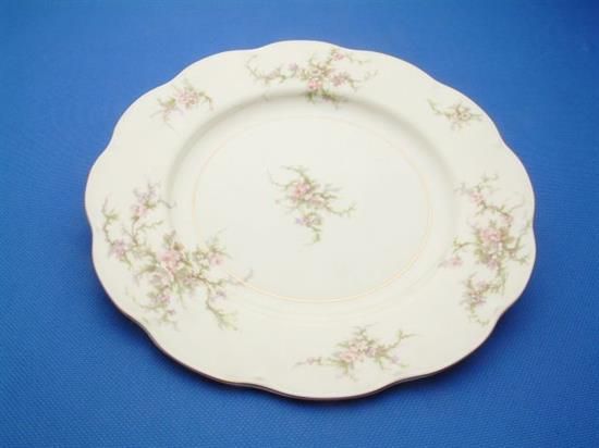 Picture of Dinner Plates