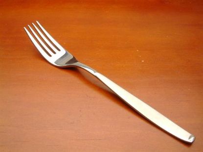 Picture of Place Forks: