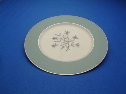 Picture of Dinner Plates