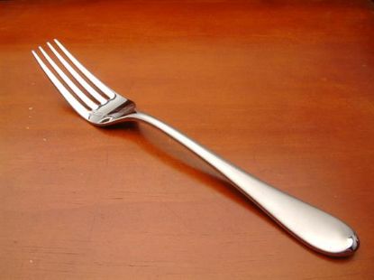 Picture of Place Forks: