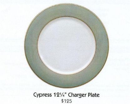 Picture of New Service Plate 12"