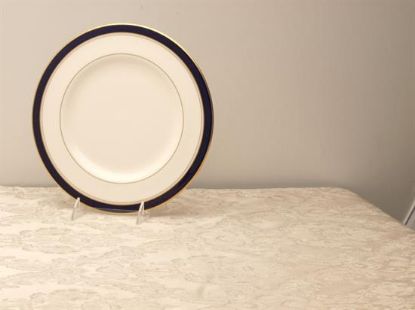 Picture of Dinner Plates