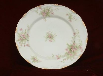 Picture of Dinner Plates