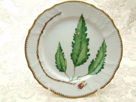 Picture of Salad Plates
