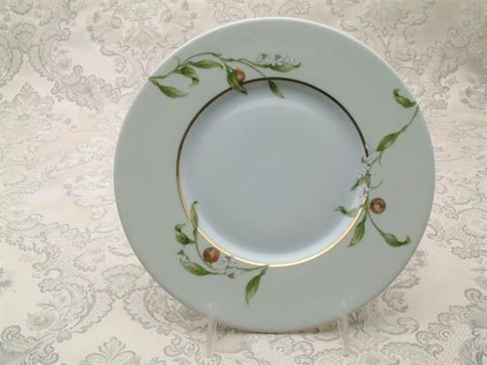 Picture of New Salad Plates