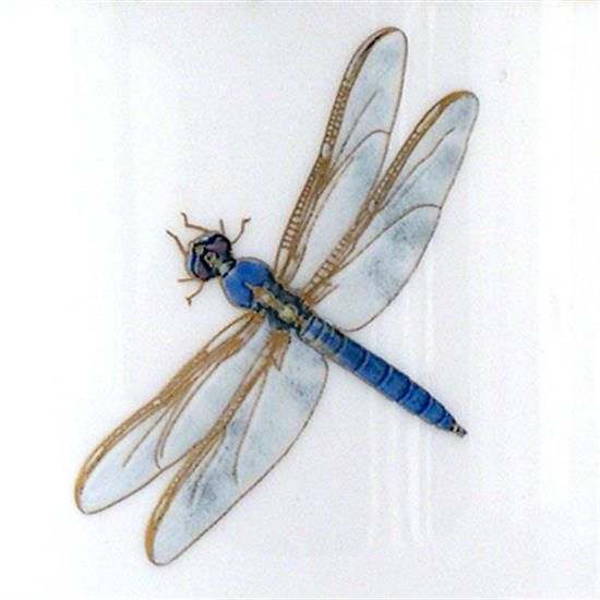 Picture of New Dinner Plate