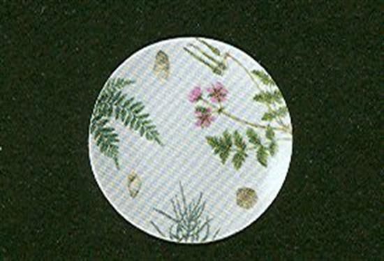 Picture of Salad Plates