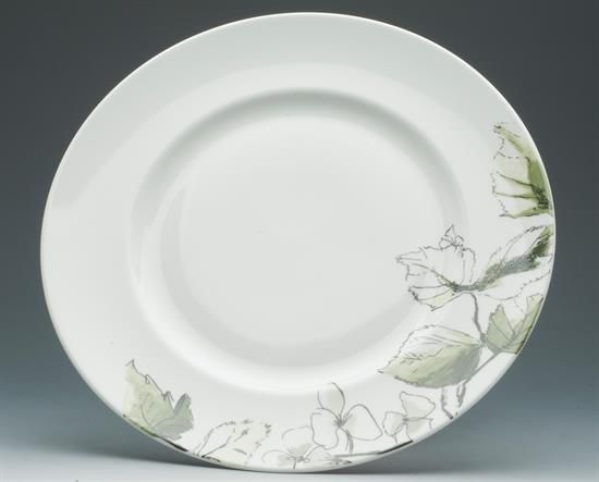 Picture of New Dinner Plate