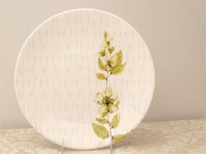 Picture of Dinner Plates