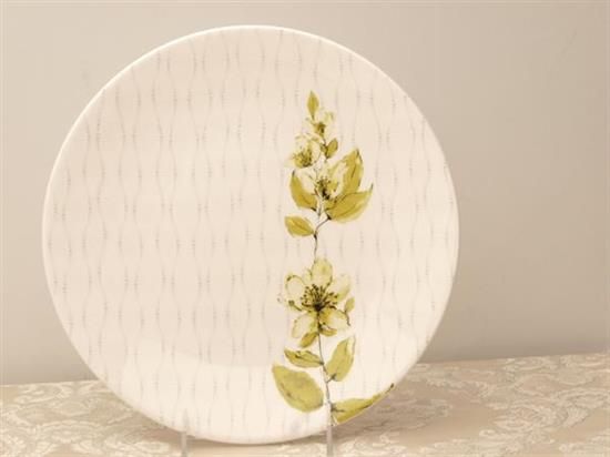 Picture of Dinner Plates