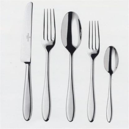 Picture of New 5pc. W/placespoon