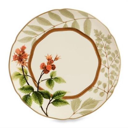Picture of New Accent Salad Plate