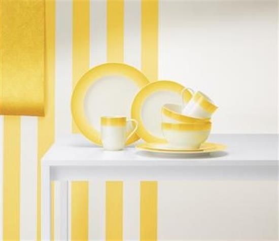 Picture of 5pc. Place Setting