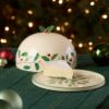 Picture of New Small Covered Dish