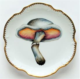 Show products in category Forest Mushrooms