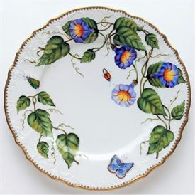 Show products in category Morning Glory