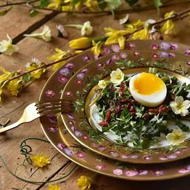 Picture for category Heloise