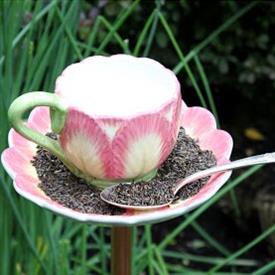 Show products in category Tulips