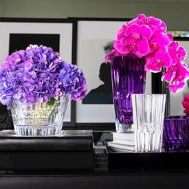 Picture for category Icon by Jeff Leatham