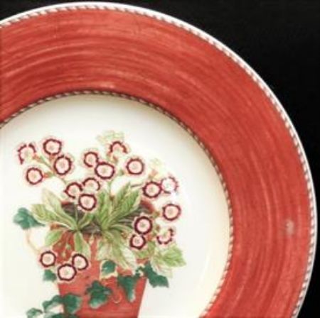 Picture for pattern Sarah's Garden, Terracotta