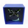 Picture of 'Anamosa' Exotic Butterfly Figurine with Stand #622739 by Swarovski Crystal