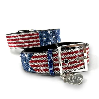 Picture of Jacqueline Kent American Flag Large 'Diamonds in the Ruff' Dog Collar