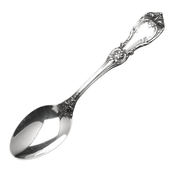 Picture of New Place Spoon