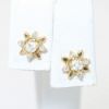 Picture of 14k Yellow Gold Diamond Earrings & Jackets