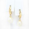Picture of 14k Yellow Gold Pearl Drop Earrings