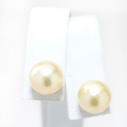 Picture of 14k Yellow Gold Pearl Earring Studs