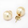 Picture of 14k Yellow Gold Pearl Earring Studs