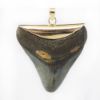 Picture of 14k Yellow Gold Shark Tooth Pendant