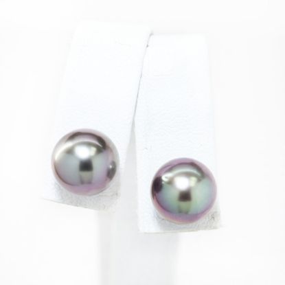 Picture of 14k White Gold Black Tahitian Pearl Earring Studs