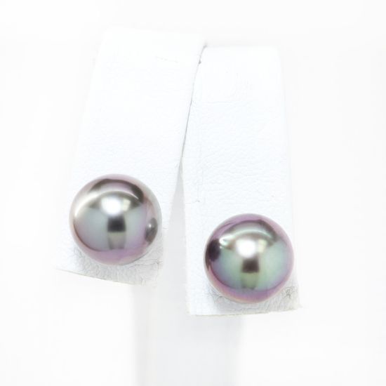 Picture of 14k White Gold Black Tahitian Pearl Earring Studs