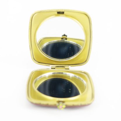 Picture of Frog Theme Compact