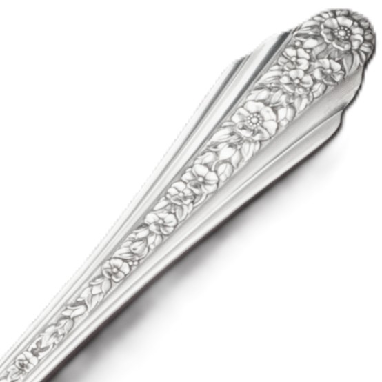 Picture for category Modern Rose