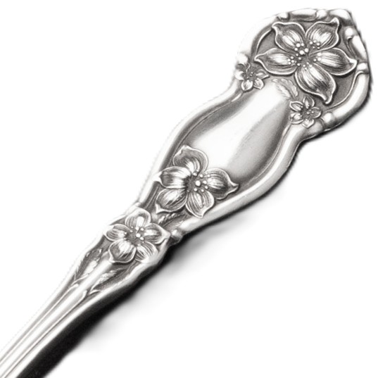 Picture for category Orange Blossom