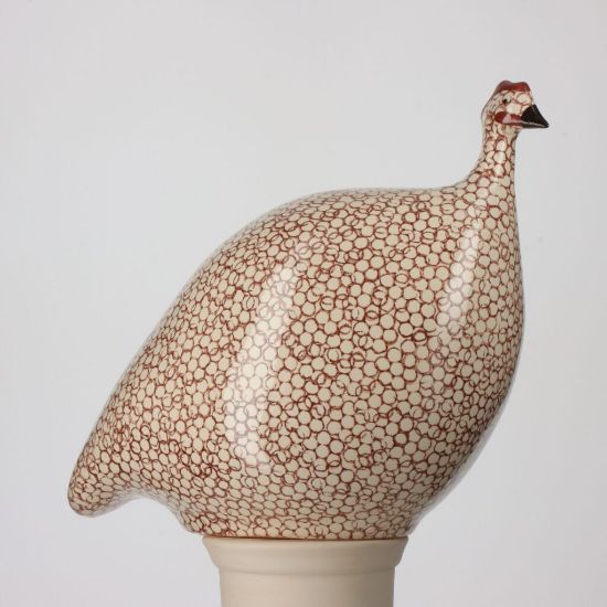 Picture of Small White Guinea Hen with Bordeaux Spots