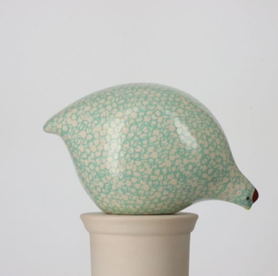 Picture of Pecking Large White Quail with Turquoise Spots