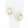 Picture of 14k Yellow Gold Oval Opal Earring Studs