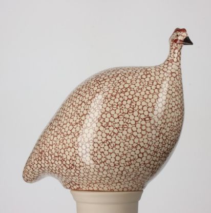 Picture of Medium White Guinea Hen with Bordeaux Spots