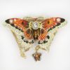 Picture of Glorious Butterfly Trinket Box with Matching Necklace