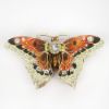 Picture of Glorious Butterfly Trinket Box with Matching Necklace