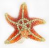 Picture of Red & Orange Starfish with Baby Trinket Box with Matching Necklace